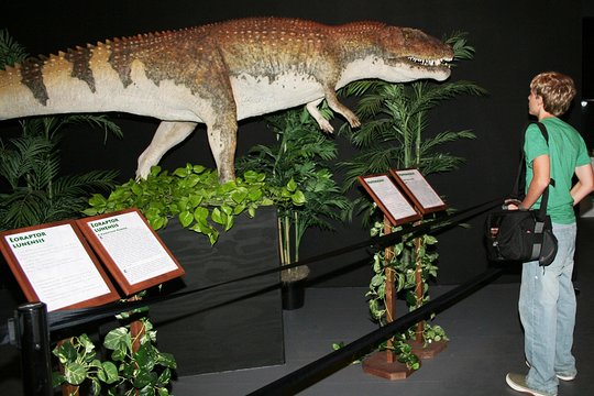 Tour image 5